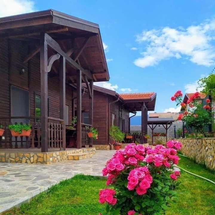 Andreevite Houses Sapareva Banya Exterior foto